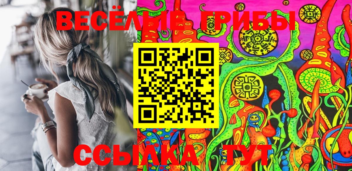 Галлюциногенные грибы GOLDEN TEACHER  Вход с VPN  купить наркотики сайты  Звенигород  Галлюциногенные грибы мицелий 